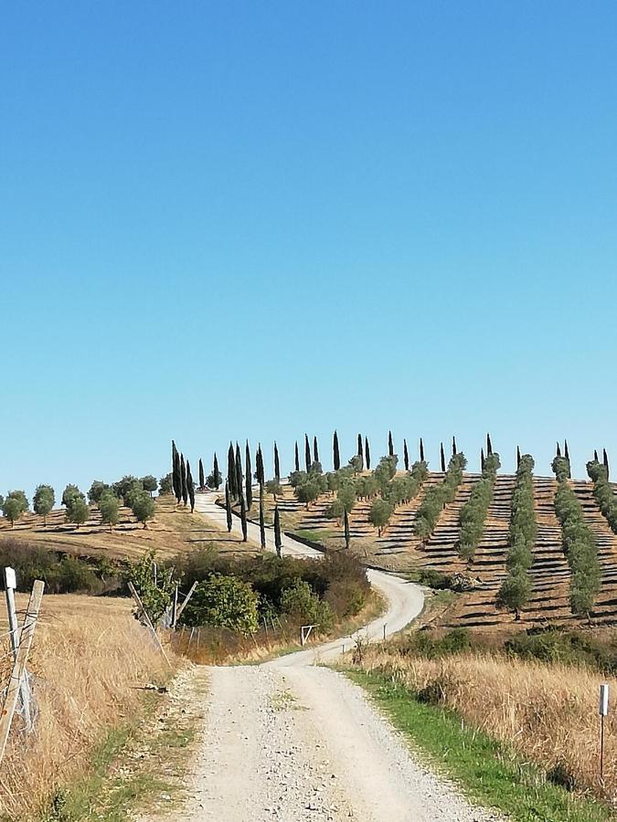 בונוקונבנטו Podere Sant'Antonio מראה חיצוני תמונה